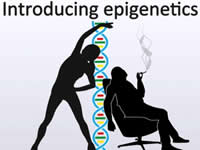 Введение в эпигенетику