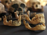 Зубы как ключи к нашему человеческому прошлому